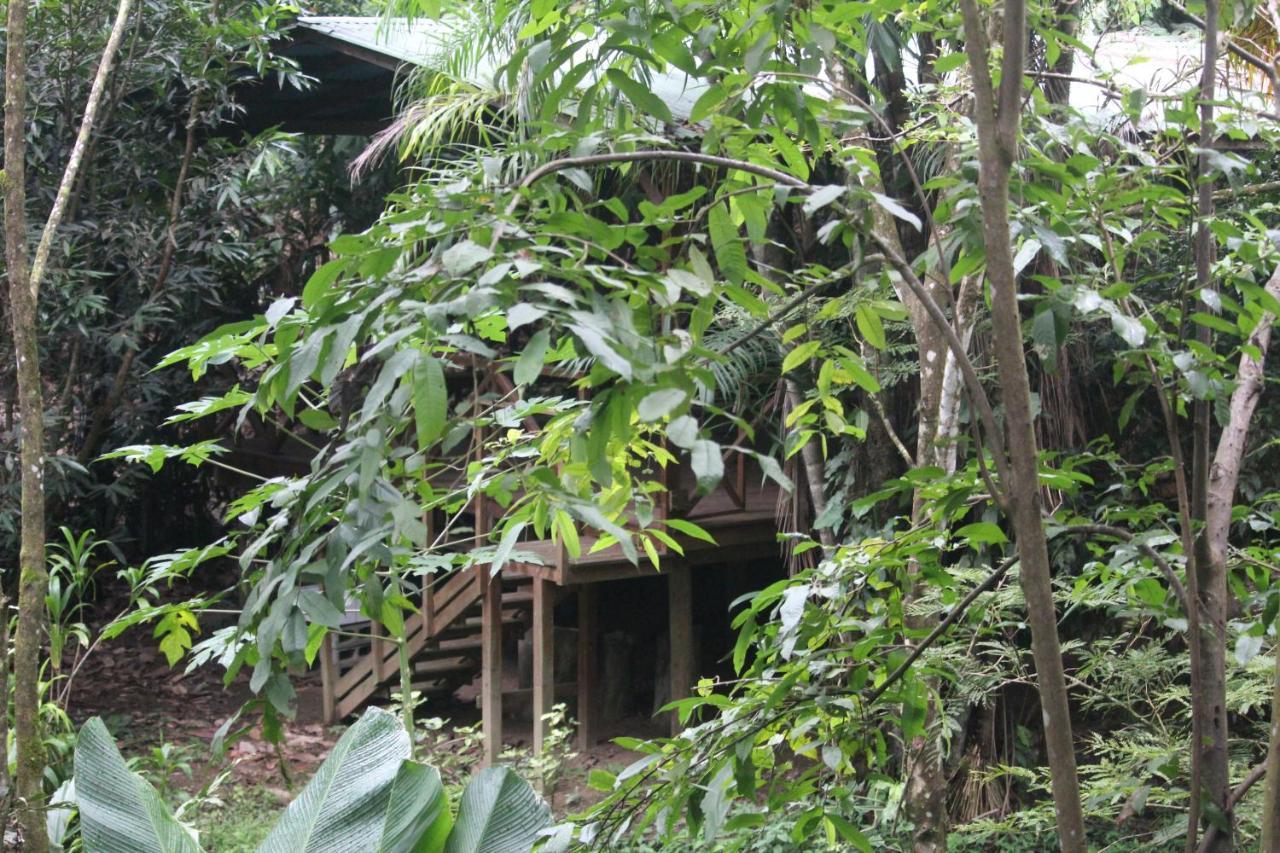 Hotel Iguana Libre Dominical Exterior foto